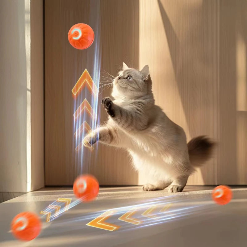 Balle à mâcher autonome pour chien et chat rechargeable