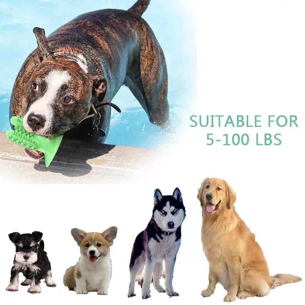 Brosse à dents jouet pour chien – Hygiène dentaire interactive