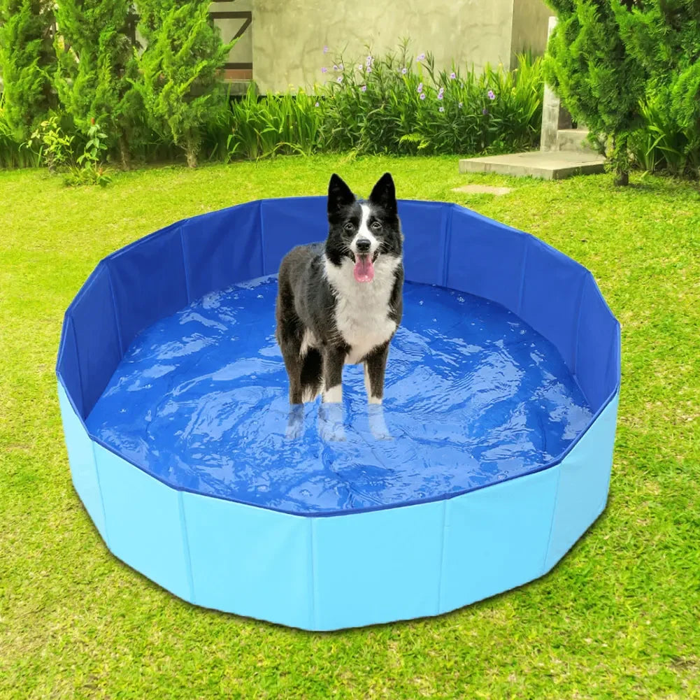 Piscine pliable pour chien - intérieur / extérieur
