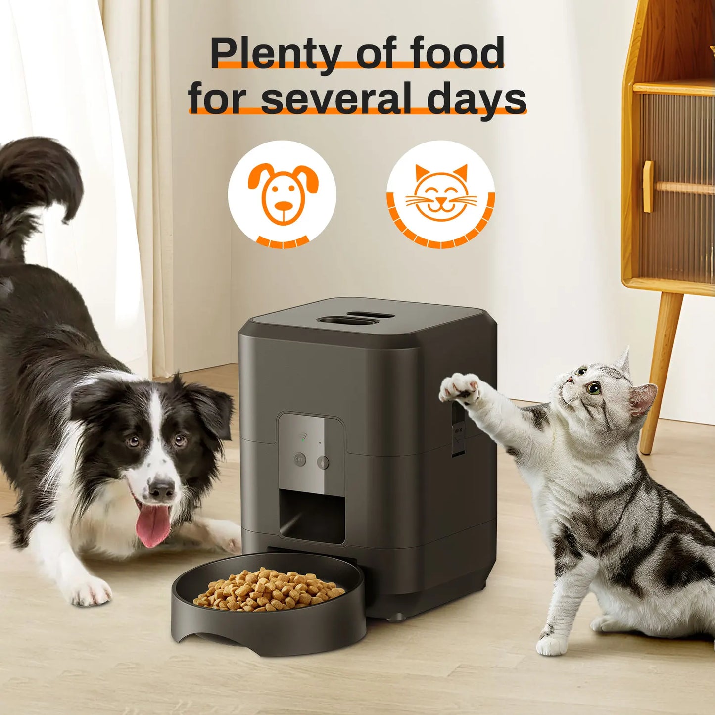 Mangeoire Automatique Intelligente – Programmable pour chien et chat
