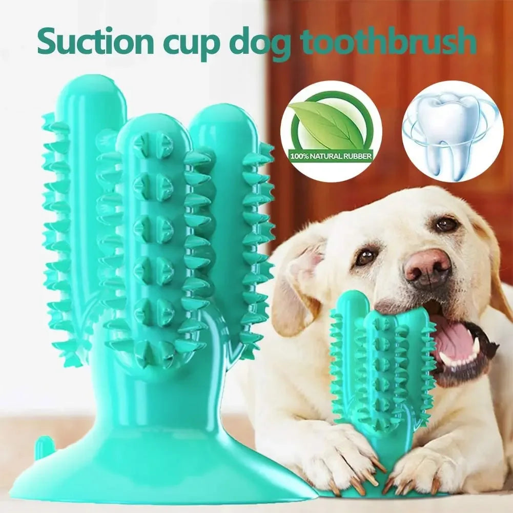 Brosse à dents jouet pour chien – Hygiène dentaire interactive