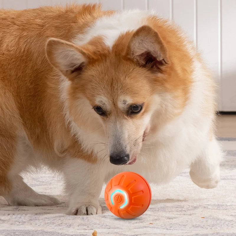 Balle à mâcher autonome pour chien et chat rechargeable
