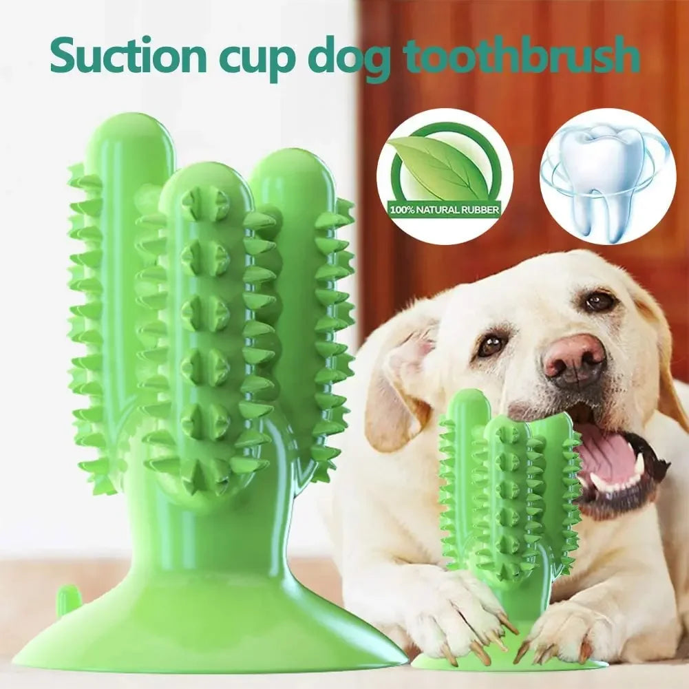 Brosse à dents jouet pour chien – Hygiène dentaire interactive