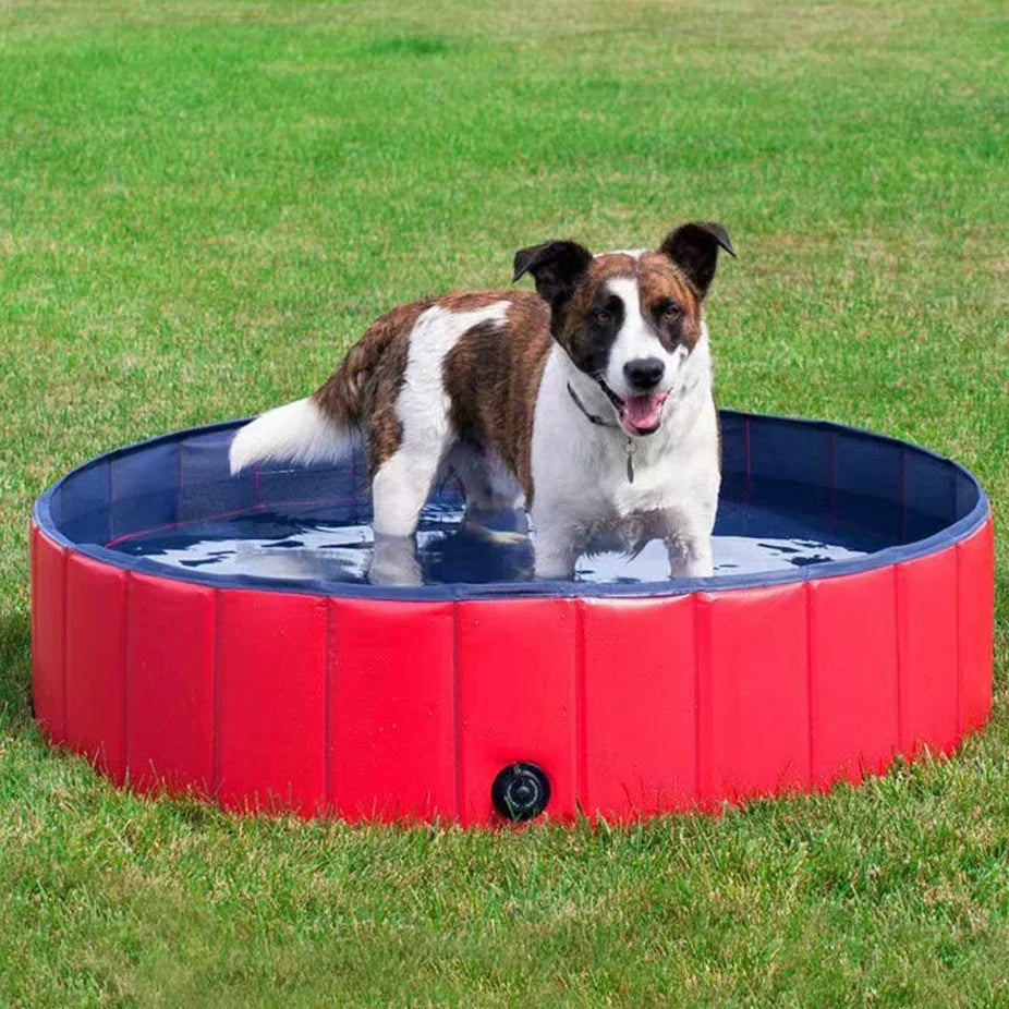 Piscine pliable pour chien - intérieur / extérieur