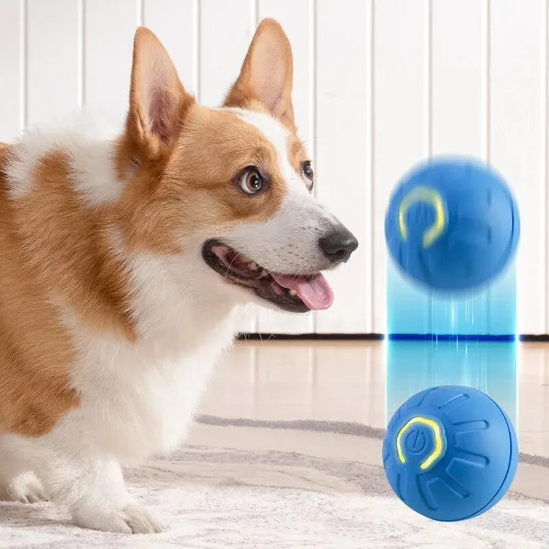 Balle à mâcher autonome pour chien et chat rechargeable