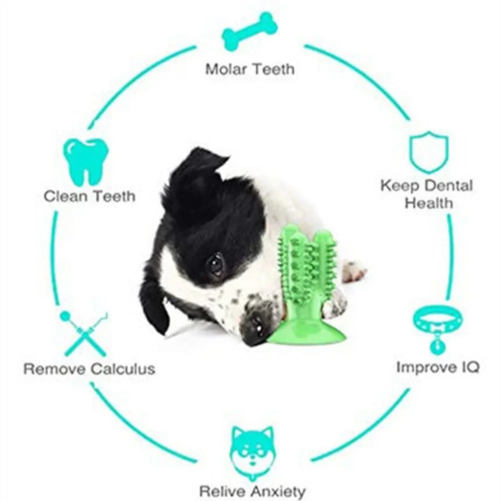 Brosse à dents jouet pour chien – Hygiène dentaire interactive