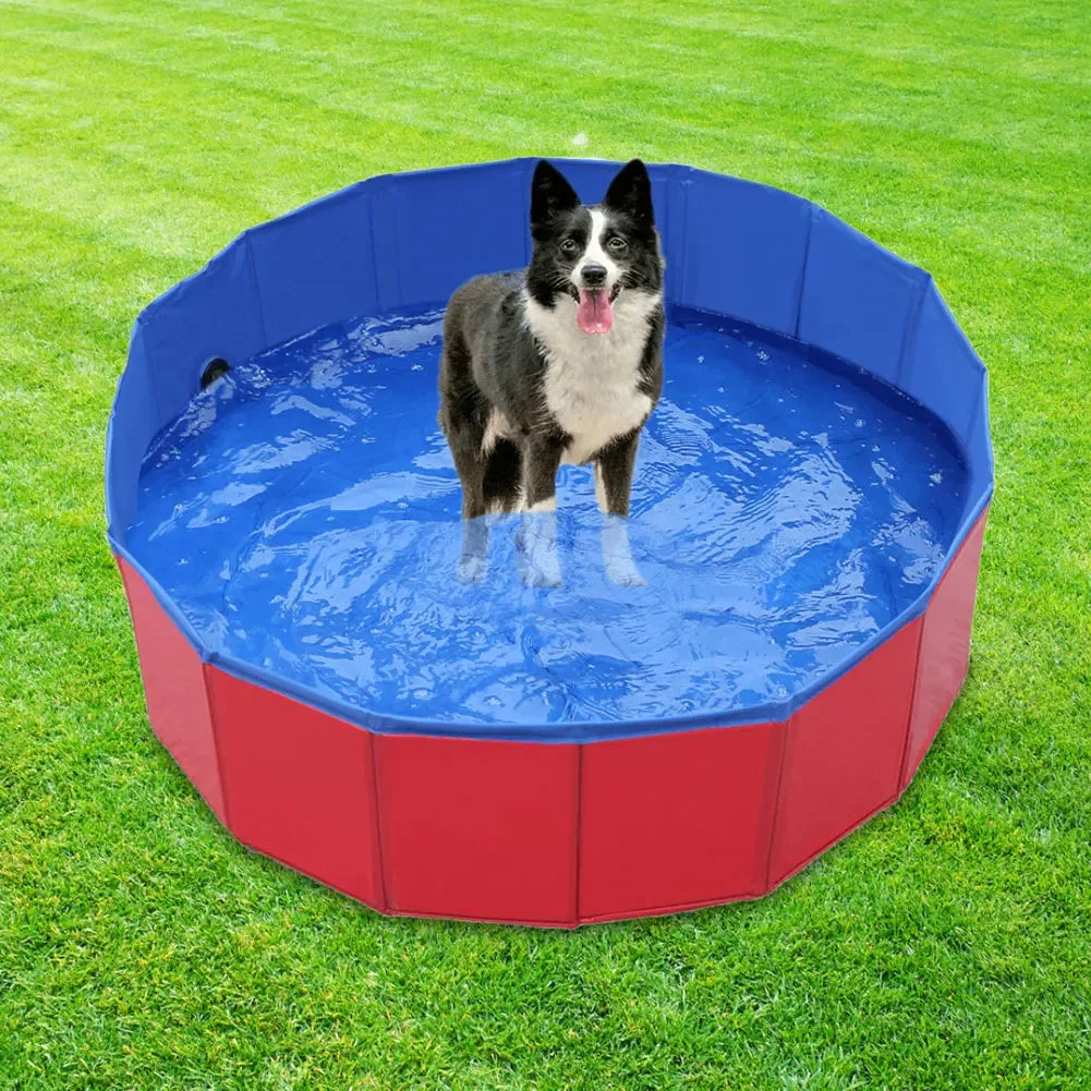 Piscine pliable pour chien - intérieur / extérieur