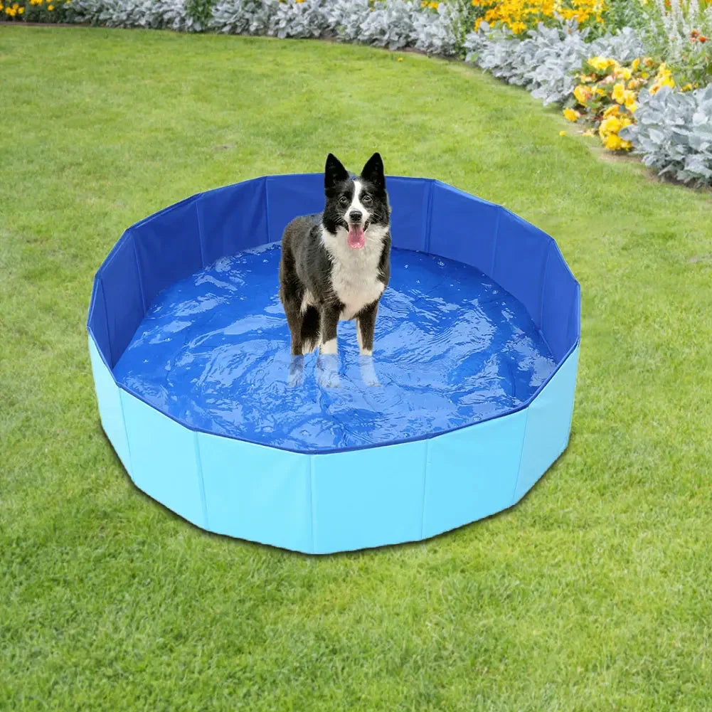 Piscine pliable pour chien - intérieur / extérieur