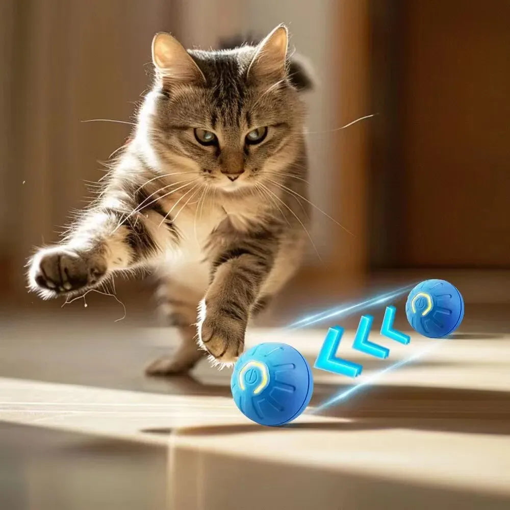 Balle à mâcher autonome pour chien et chat rechargeable