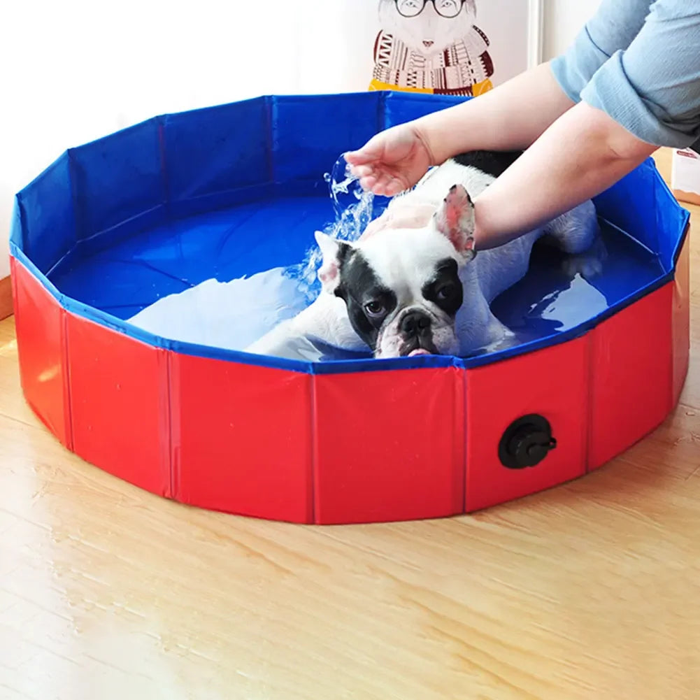 Piscine pliable pour chien - intérieur / extérieur