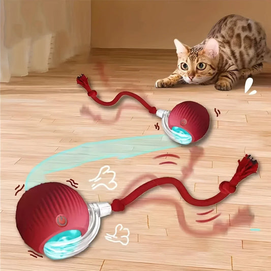 Jouet interactif pour chat – Jouet pour animaux de compagnie à roulement automatique, rechargeable et intelligent avec queue pour un plaisir interactif