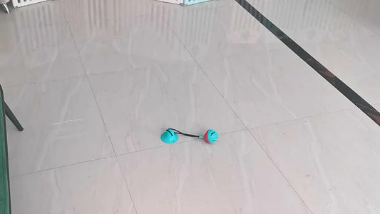 Balle interactive à ventouse pour chien avec distributeur de friandises et soin dentaire